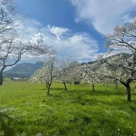 Farmhouse In Soell Near Wilder Kaiser Ski Area, Cleaning Included Зёлль
